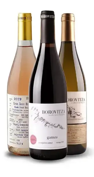 Discover Borovitza!